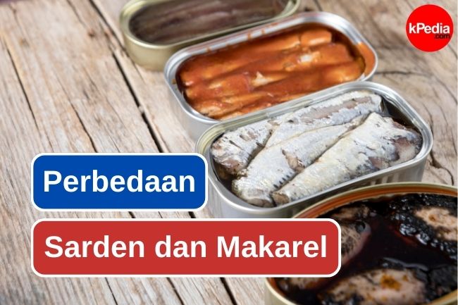 3 Main Differences Between Sardines and Mackerel